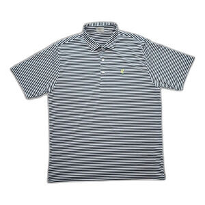 Fennec Men's Golf Polo Shirt Grey with Black with Stripes Size XL